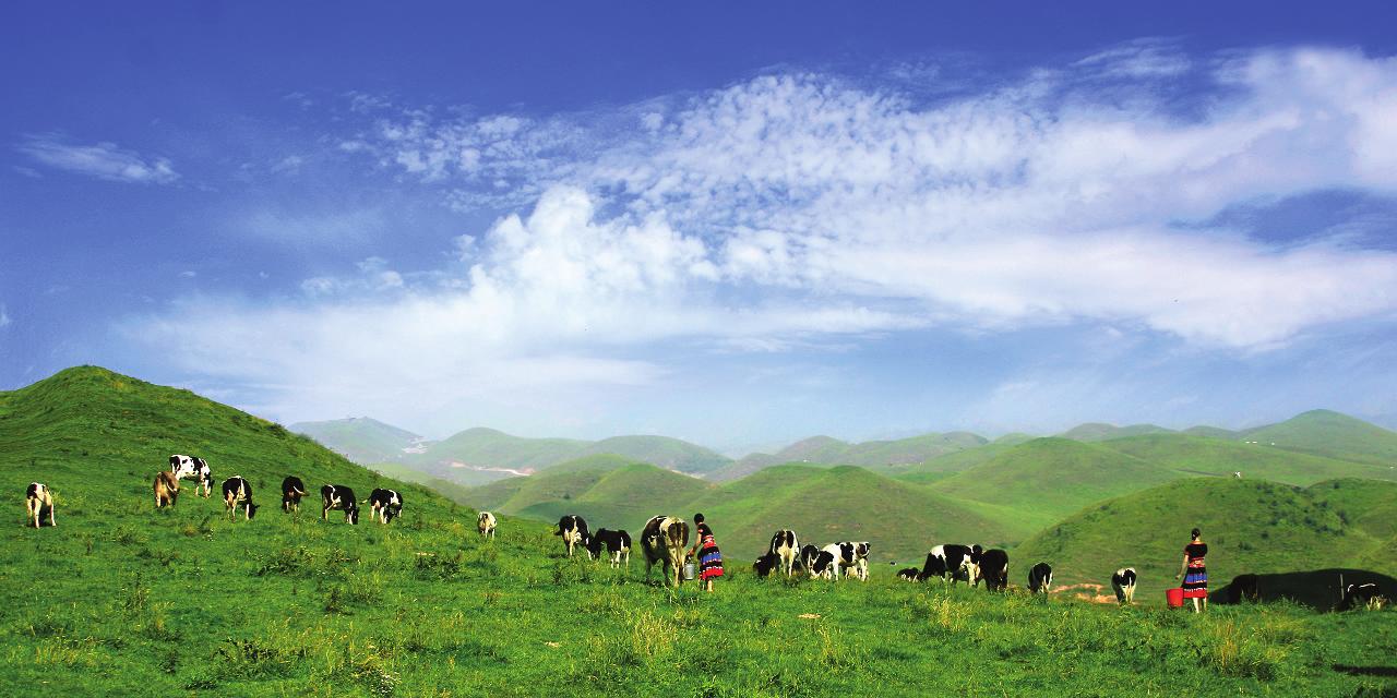 一步之城，萬(wàn)種風(fēng)情 ——《城步苗族自治縣旅游產(chǎn)業(yè)發(fā)展總體規(guī)劃及重點(diǎn)景區(qū)概念性規(guī)劃》