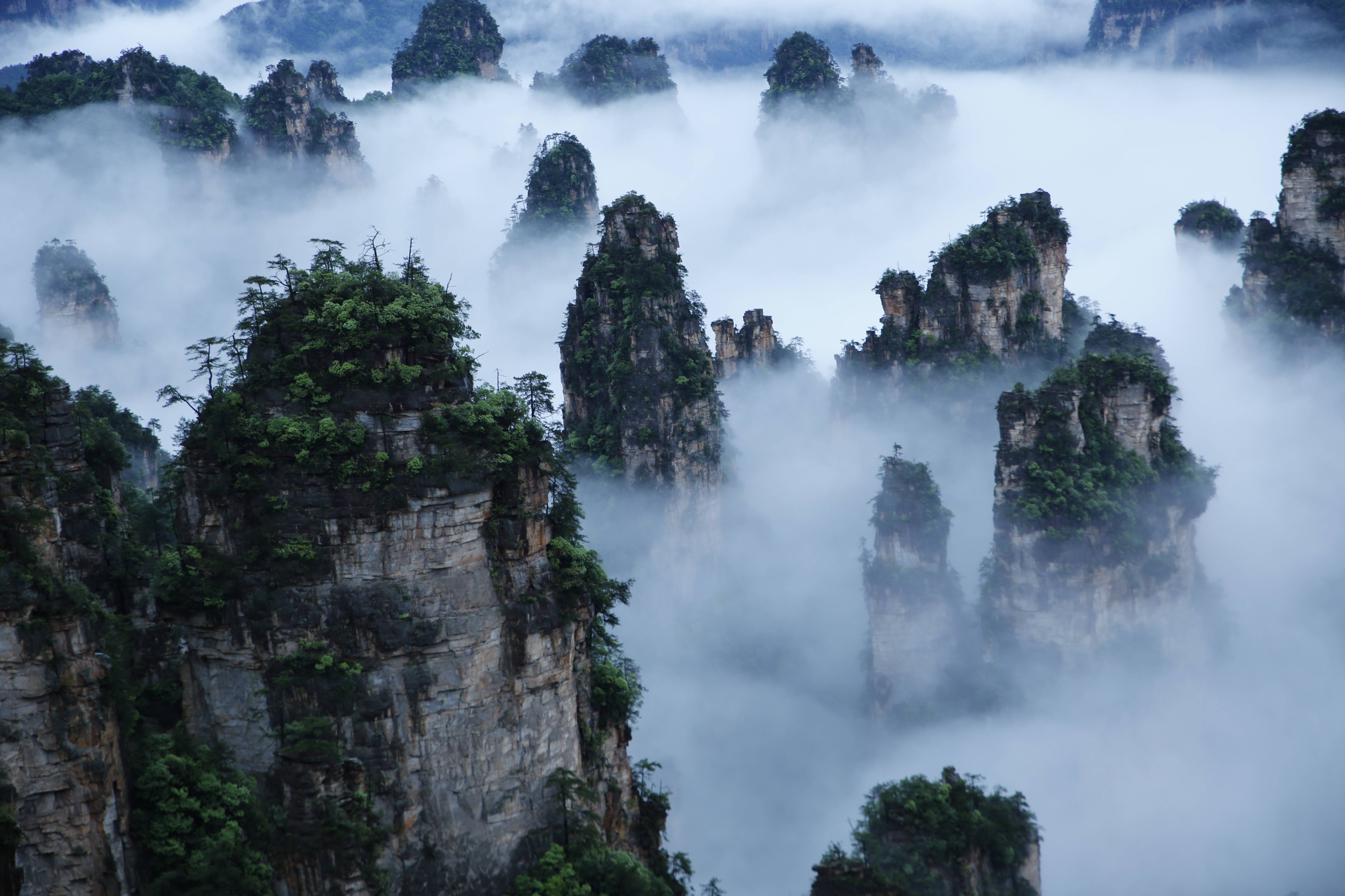 武陵源景區(qū)天子山云海，圖源：湖南日報.jpeg